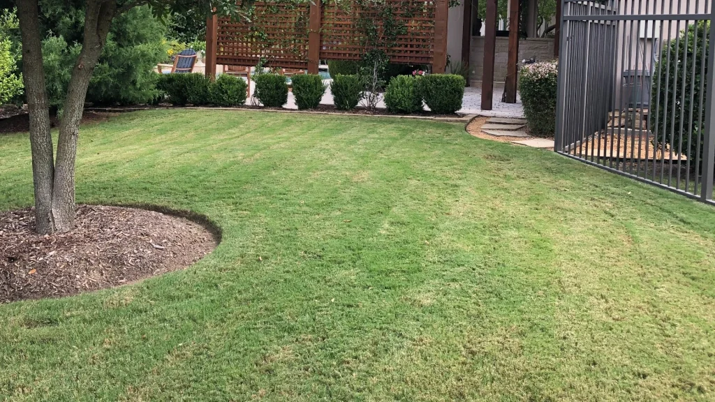 Lawn Scalping in North Texas: When, Why, and How to Do It Right