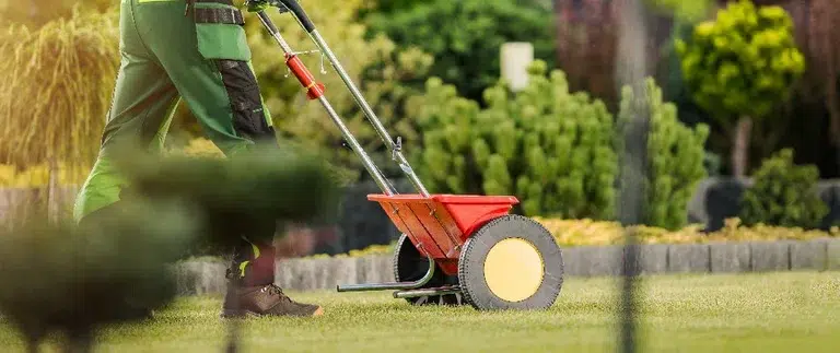Fertilizing Lawn