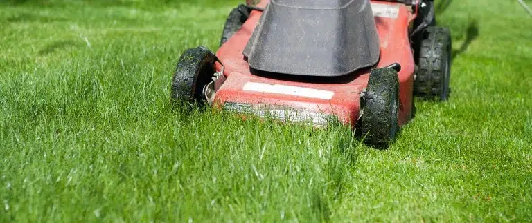 Mowing Grass