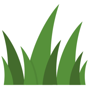 Spider Mites Control