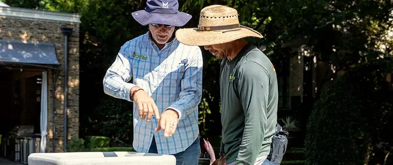 Spider Mites Control