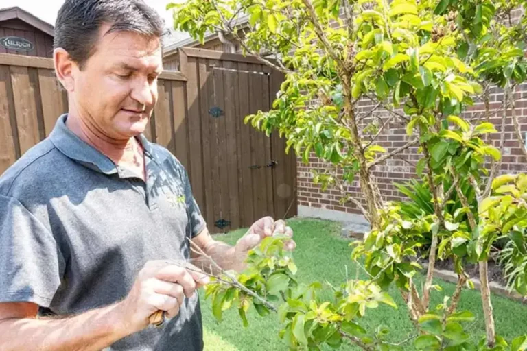 Professional pest control company